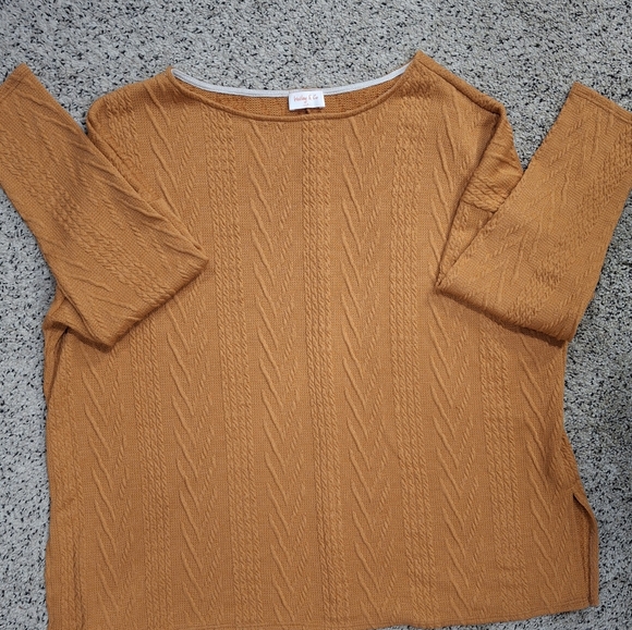 Nwot Hailey & Co sweater 1x - Picture 10 of 12